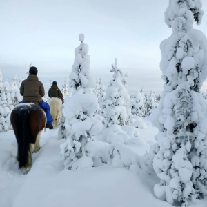 Lapland Finest Outdoors_002
