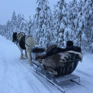 Lapland Finest Outdoors_003