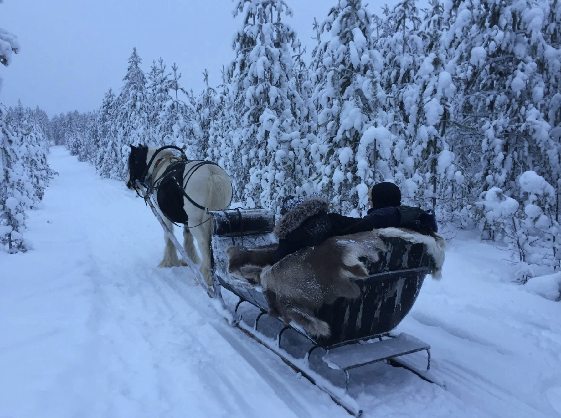 Lapland Finest Outdoors_003